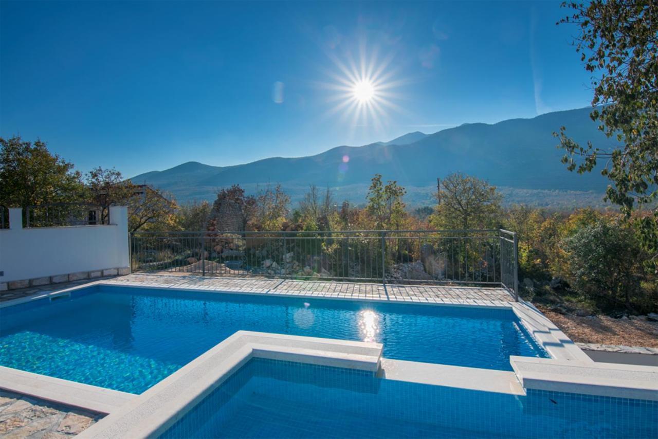 Вілла Dvori Stipanovi With Heated Pool And Jacuzzi Donje Rascane Екстер'єр фото